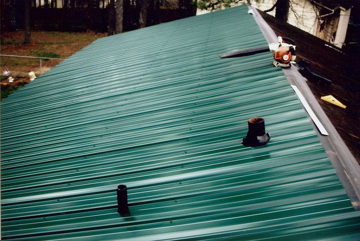 Leafblower on a green roof